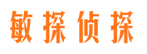 黄龙侦探公司